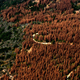 Photo: USFS